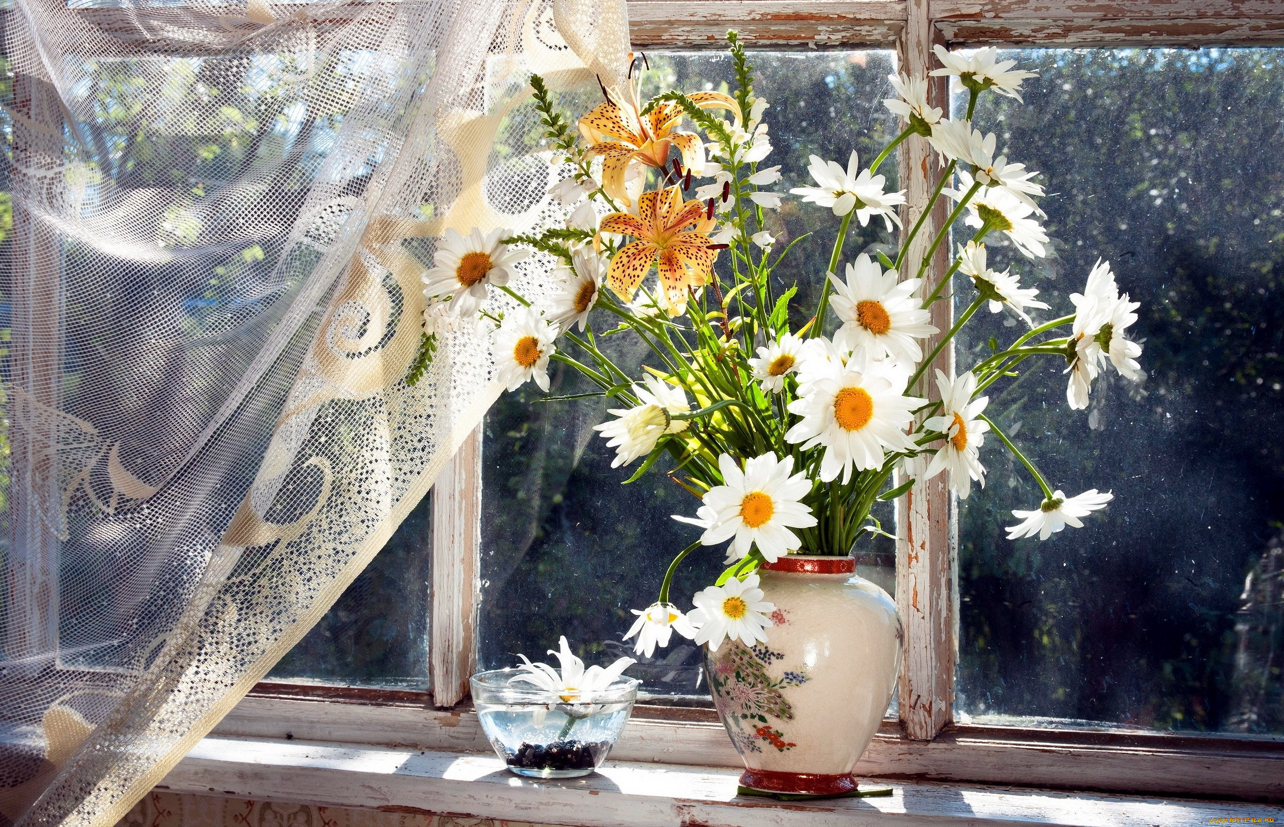 Подарить цветы в окно. Цветы на окне. Весенние цветы на окне. Букет ромашек на окне. Летние цветы на окне.